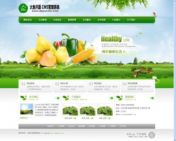 绿色企业网站完美版 界面清爽带数据